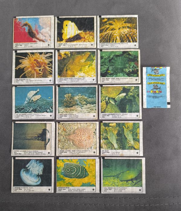 Картинки от дъвки- приоритет Turbo 1-50, COLA Wildlife