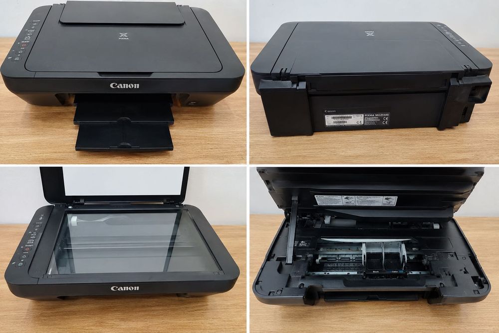 Canon Pixma Mg2550S