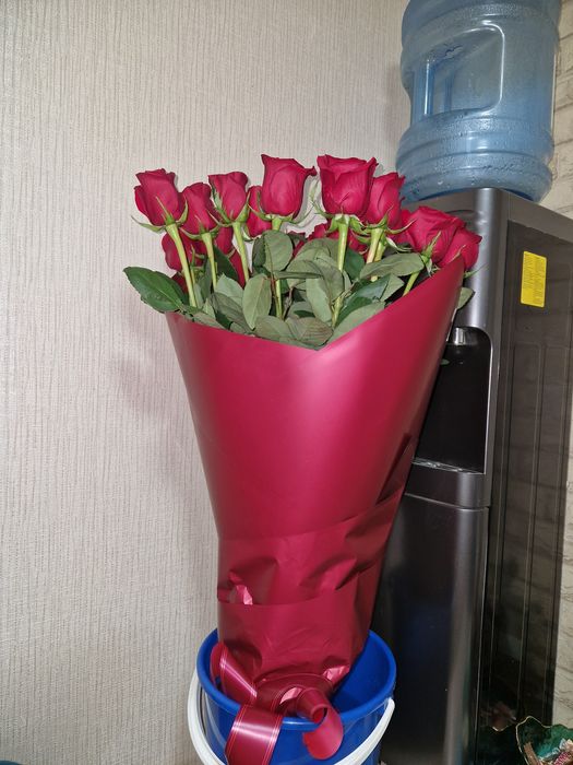 Продам свежий букет роз