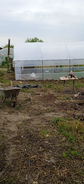 Solarii sere legume cu montaj