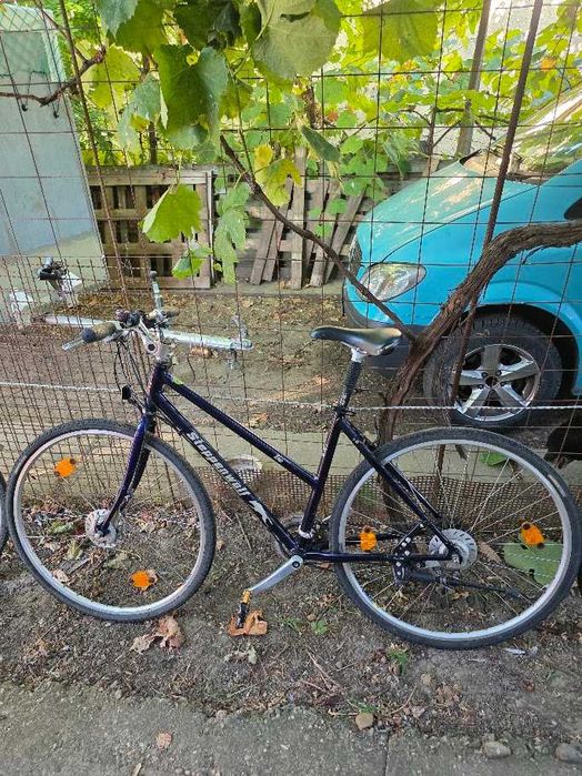 Bicicleta Steppenwolf