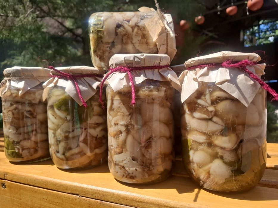 Продам грибы,маринованные маслята