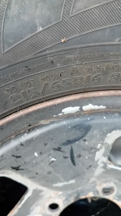 Jante tabla cu cauciucuri de iarna Vitara 215 65 16