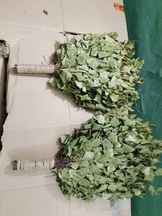 Березовые веники