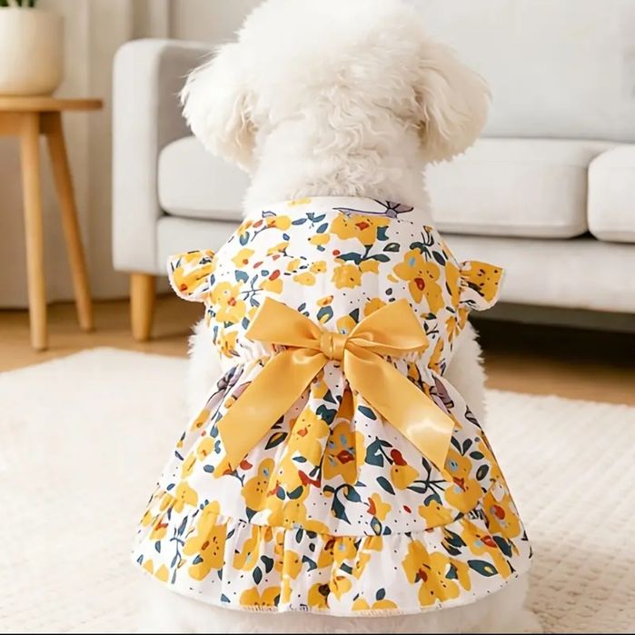 Одежда для собаки.