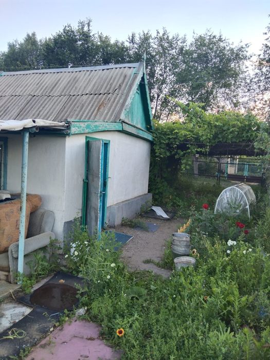 Продам дачу в 21 коллективе