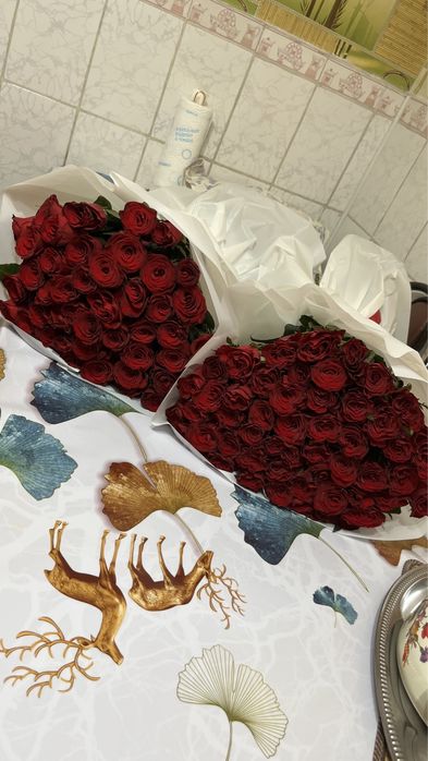 Красные розы  51штук