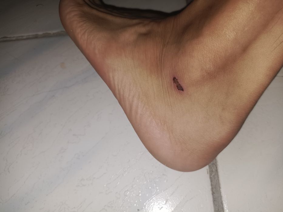 Сороконожки 41 р,  бу