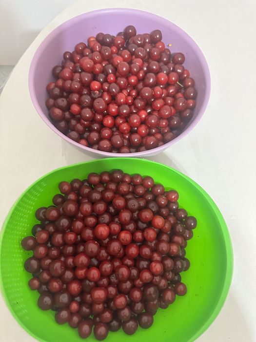 Продам вишню 8000 за ведро