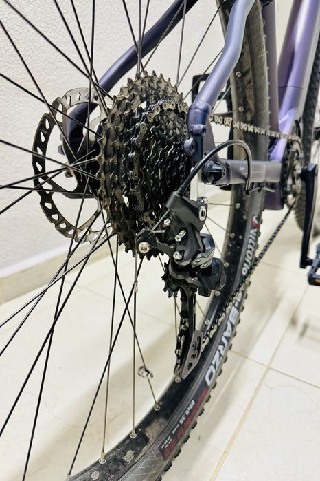 Econic One Adventure eBike