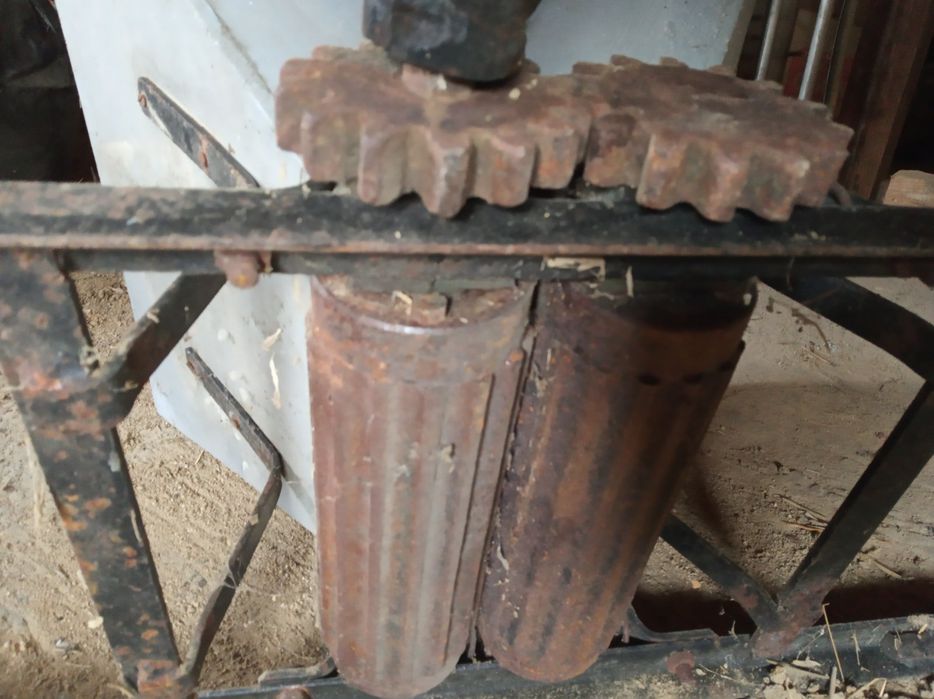 Стара гроздомелачка