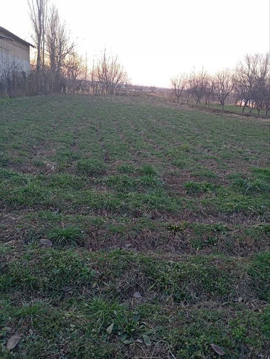 10 сотихли Ховли сотилади