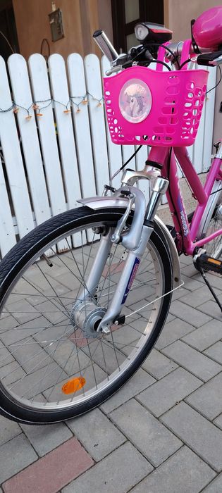 Pegasus roti 24, fete