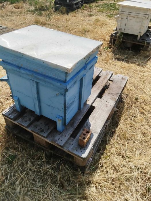 Продавам стари кошери ДБ