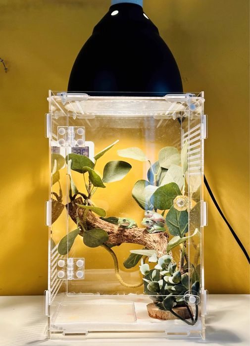 Акрилен терариум 15 х 15 х 25 см
