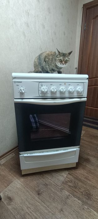 Продам кухонную плиту INDESIT