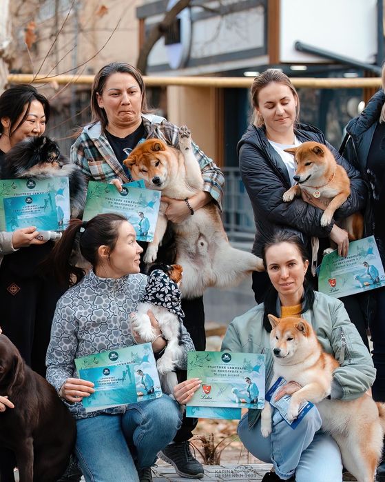 Продаются высоко породные щенки Сиба Ину.