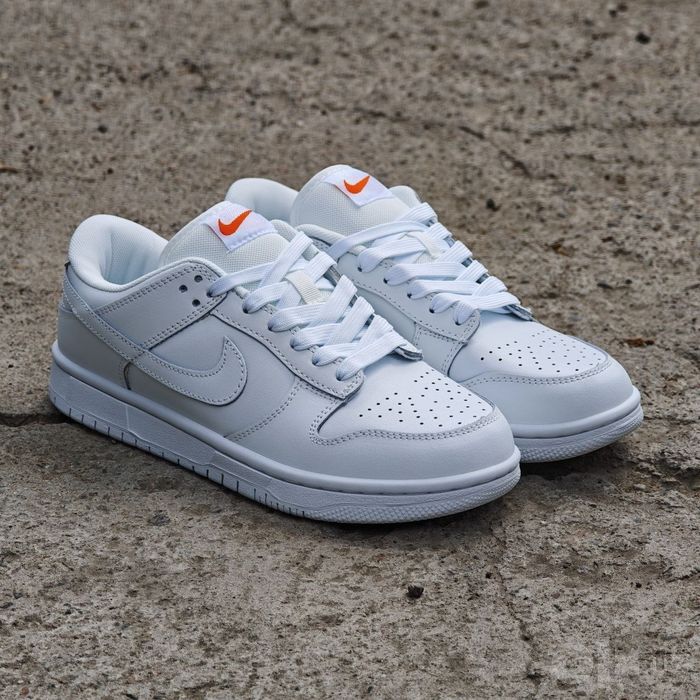 Nike Sb Dunk x low