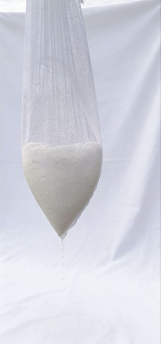 Branza de oaie de vanzare