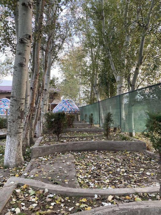 Тойтепа, 1,5 гектара, вдоль дороги!!