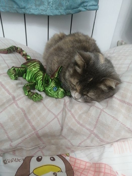 Отдам даром кошку