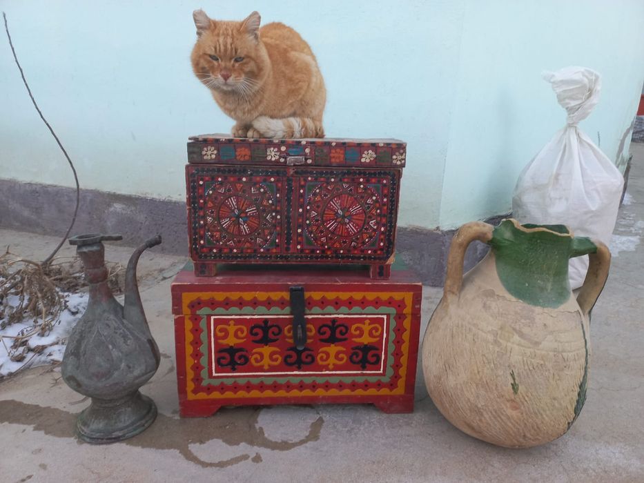 Орыстардың арақ ішіп, жыныстық қатынасқа түскен видеосы