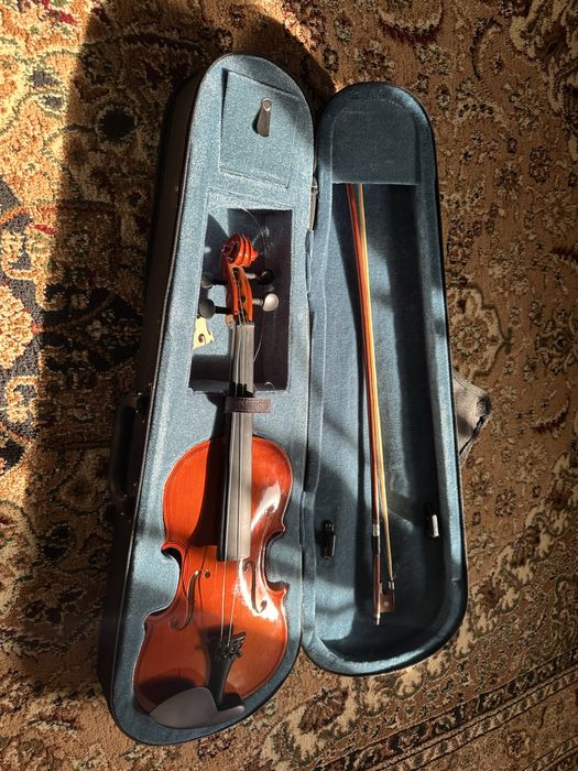 Скрипка в сумке