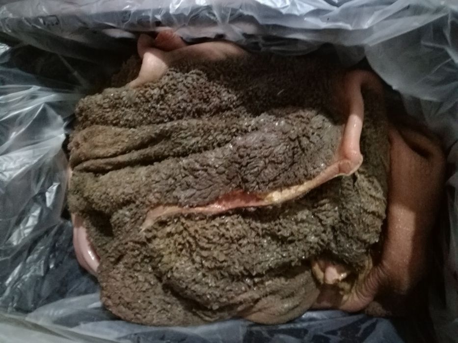 Месо за кучета, Конско месо,Патешки глави,телешко зелено шкембе и пиле