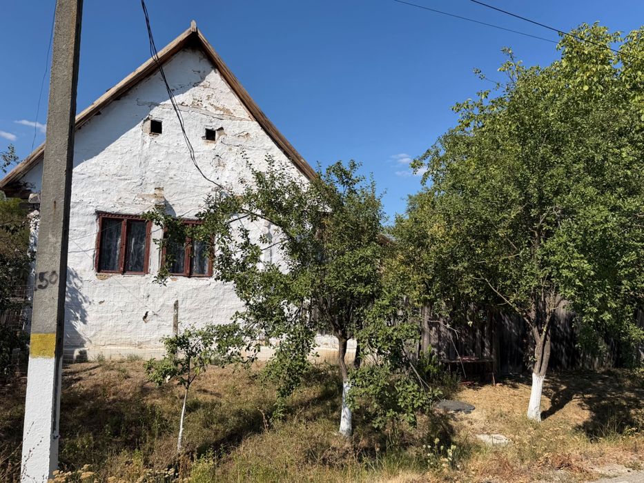 6.000 MP – 2 terenuri mari+ casă