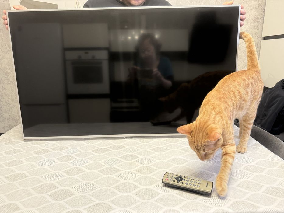 Телевизор Panasonic TX-LR42E6