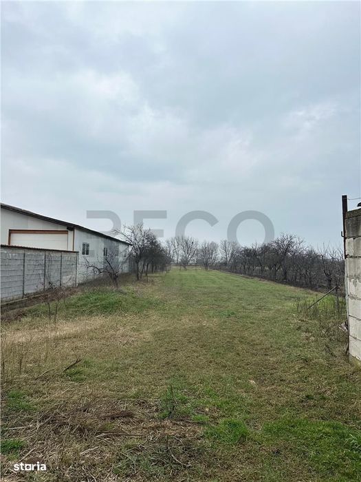 RECO Casa de vanzare in Livada