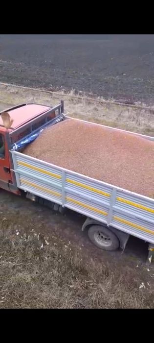 Vand sorg  in comuna Frata