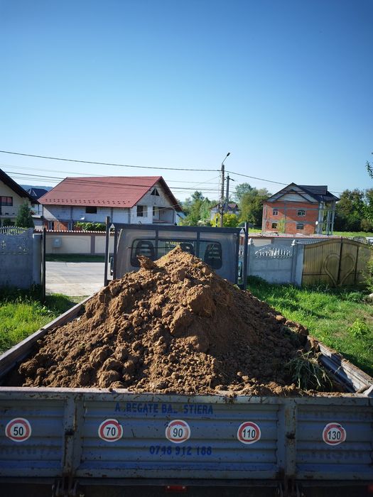 Pamant de gradina Chisai de gazon sau mranita