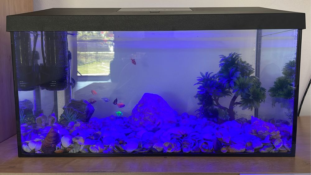 Acvariu Pesti 60 L