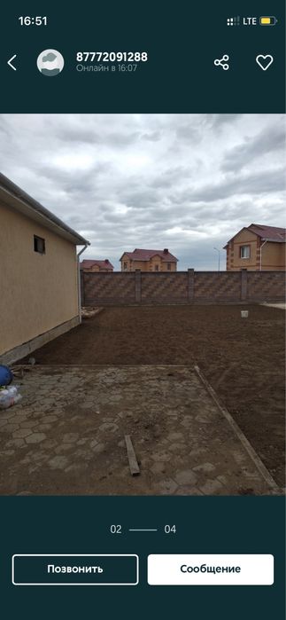 Газон посевной