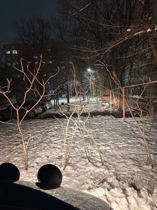 Фары дополнительного света Hella