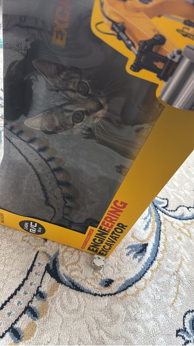 Отдам в добрын руки котенка малчик