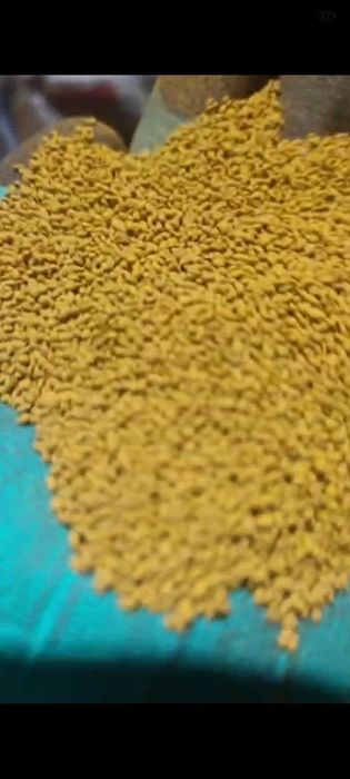 Семена люцерны жоңышқа тұқымы беде!