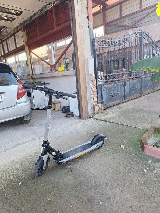 Тротинетка марка buzzard