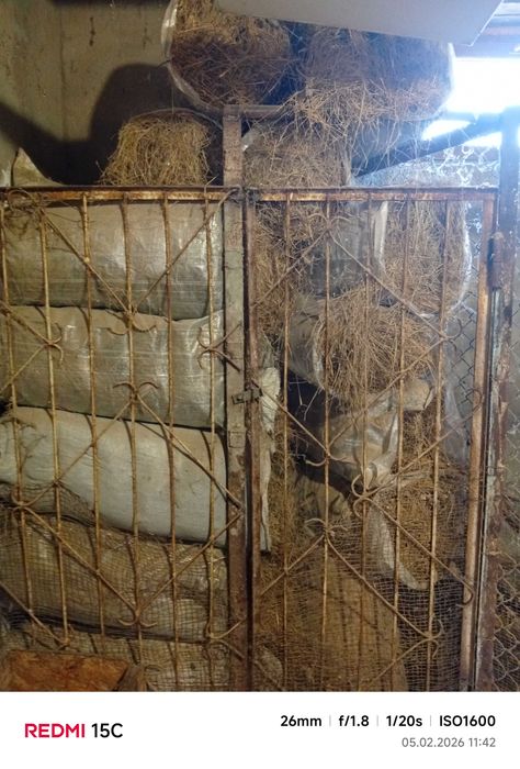 Сено для животных (скот)