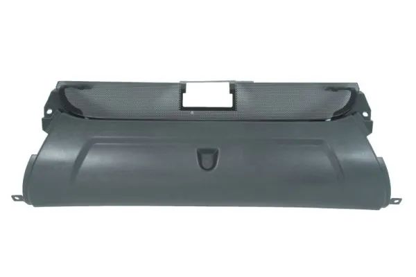 bara fata scania r i g i 2004-2019