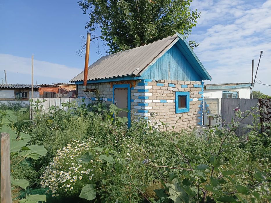 Продам дом село Новоалексеевка