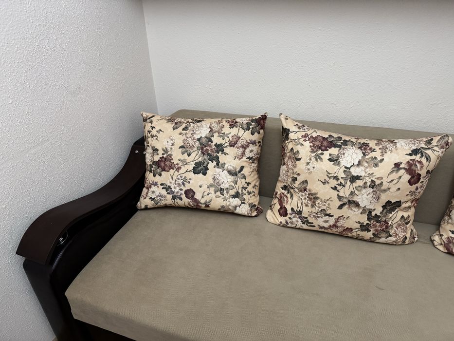 Canapea extensibilă în stare excelentă