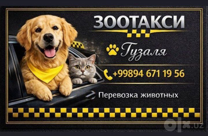 ЗОО такси. К каждому питомцу индивидуально!