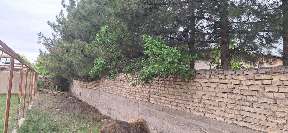 Hovli uchun yer Mirmiron mahalladan