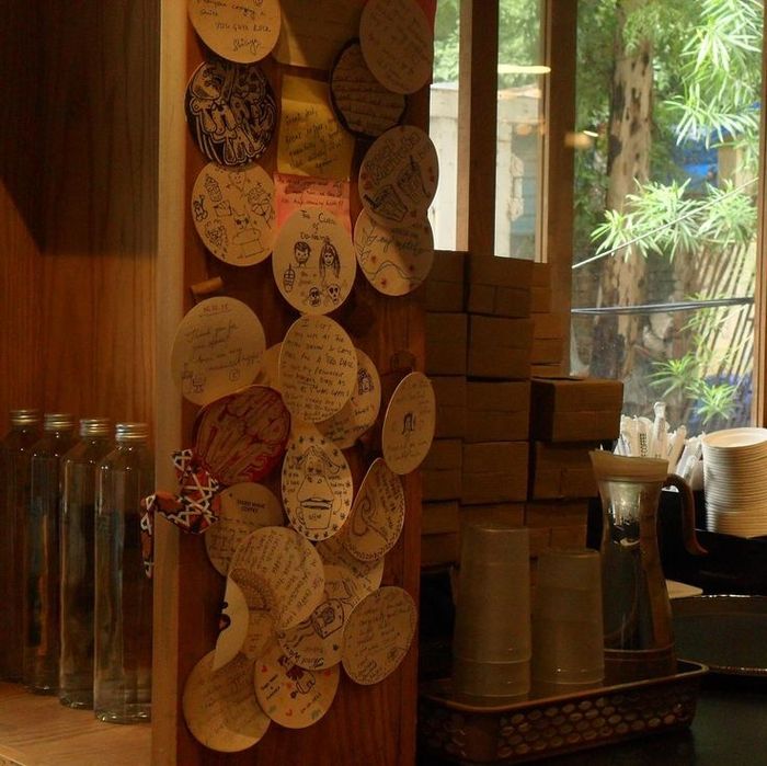 Фотокамера samsung pl100