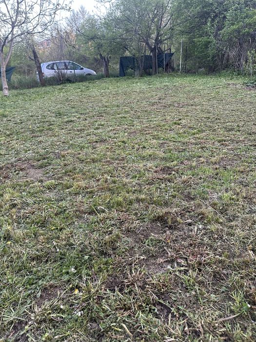 КОСЕНЕ НА ДВОРОВЕ!