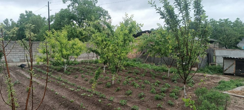 Срочно ер ва уй сотилади. нархи келишилган холда.