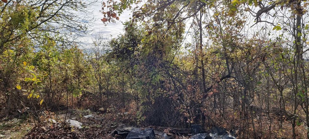 Продава се Парцел в Разград, Промишлена зона - Запад - 4618 кв.м за 3 €/кв.м - Снимка #2