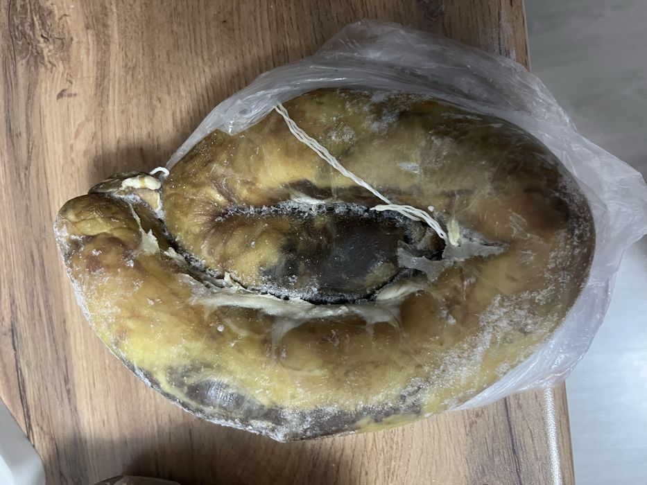 Казы -конина домашний